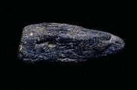 藏品(碎骨塊)的圖片